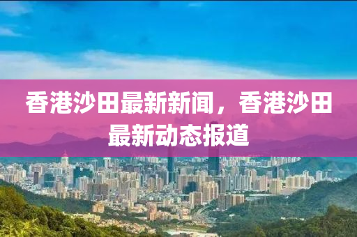 香港沙田最新新聞，香港沙田最新動態(tài)報道