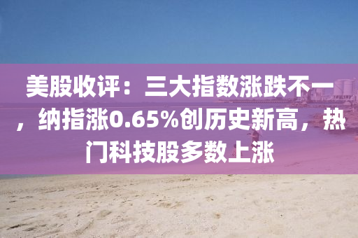 美股收評(píng)：三大指數(shù)漲跌不一，納指漲0.65%創(chuàng)歷史新高，熱門(mén)科技股多數(shù)上漲