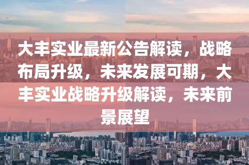 大豐實業(yè)最新公告解讀，戰(zhàn)略布局升級，未來發(fā)展可期，大豐實業(yè)戰(zhàn)略升級解讀，未來前景展望