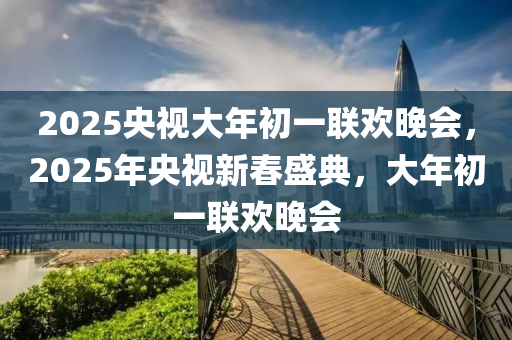 2025央視大年初一聯(lián)歡晚會，2025年央視新春盛典，大年初一聯(lián)歡晚會