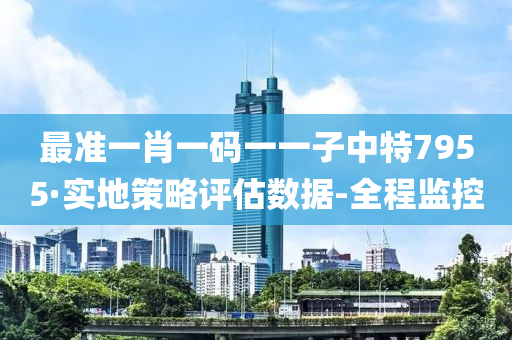 最準(zhǔn)一肖一碼一一子中特7955·實地策略評估數(shù)據(jù)-全程監(jiān)控