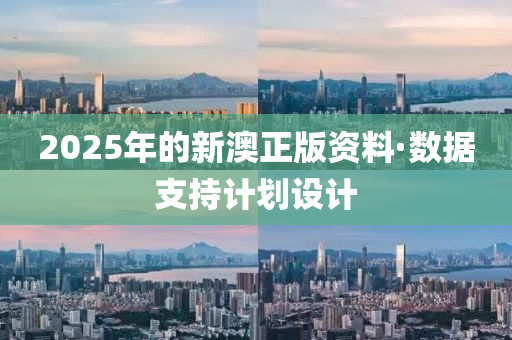 2025年的新澳正版資料·數(shù)據(jù)支持計劃設(shè)計