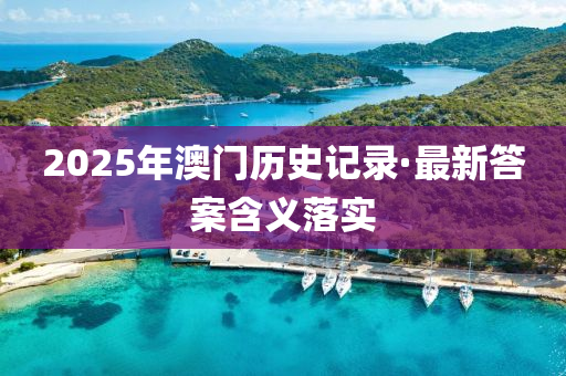 2025年澳門歷史記錄·最新答案含義落實