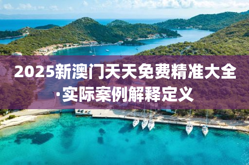 2025新澳門天天免費精準大全·實際案例解釋定義