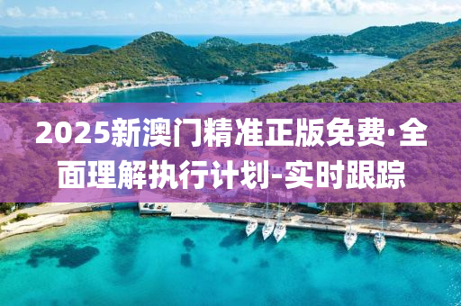 2025新澳門精準正版免費·全面理解執(zhí)行計劃-實時跟蹤