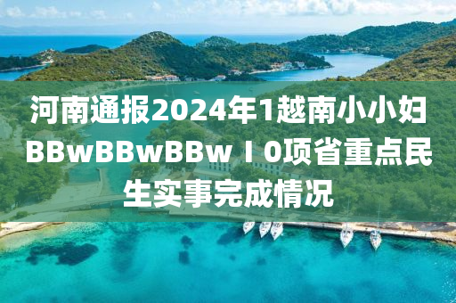 河南通報(bào)2024年1越南小小婦BBwBBwBBwⅠ0項(xiàng)省重點(diǎn)民生實(shí)事完成情況