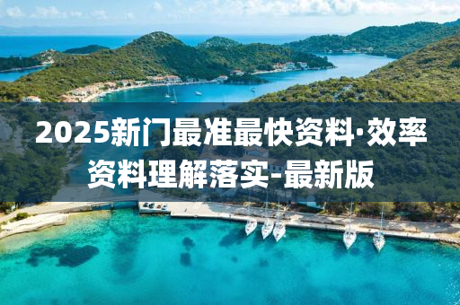 2025新門最準最快資料·效率資料理解落實-最新版