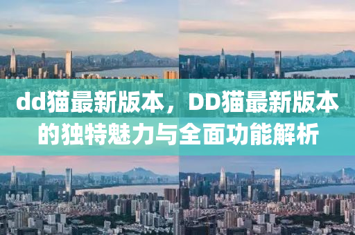 dd貓最新版本，DD貓最新版本的獨特魅力與全面功能解析