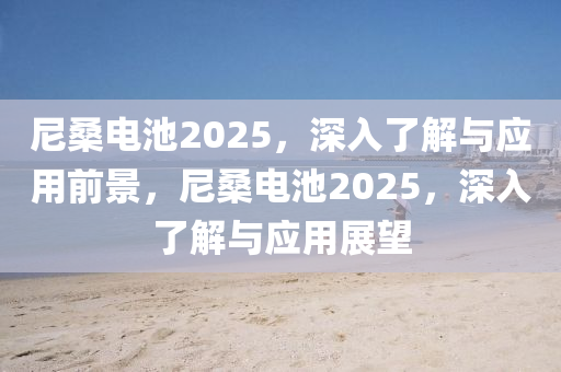 尼桑電池2025，深入了解與應用前景，尼桑電池2025，深入了解與應用展望