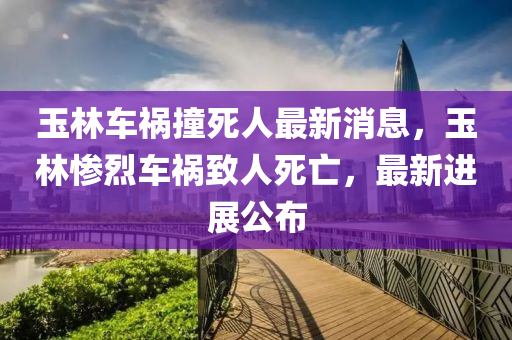 玉林車禍撞死人最新消息，玉林慘烈車禍致人死亡，最新進展公布