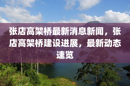 張店高架橋最新消息新聞，張店高架橋建設進展，最新動態(tài)速覽