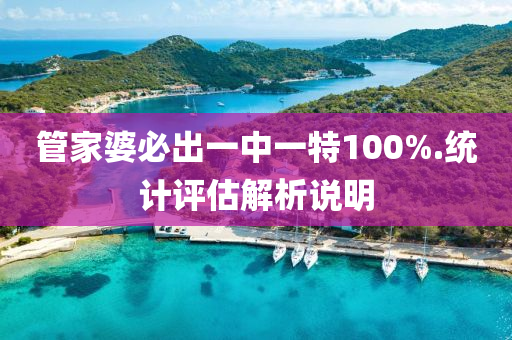 管家婆必出一中一特100%.統(tǒng)計(jì)評估解析說明