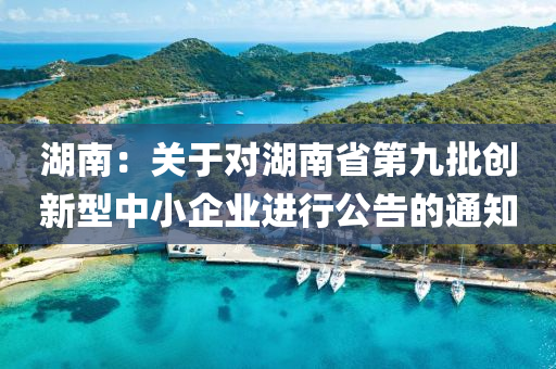 湖南：關(guān)于對湖南省第九批創(chuàng)新型中小企業(yè)進行公告的通知