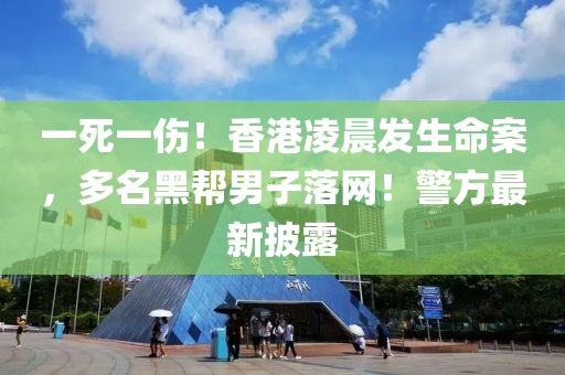 一死一傷！香港凌晨發(fā)生命案，多名黑幫男子落網！警方最新披露