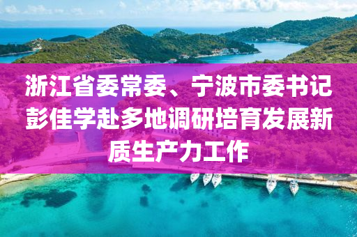 浙江省委常委、寧波市委書記彭佳學(xué)赴多地調(diào)研培育發(fā)展新質(zhì)生產(chǎn)力工作