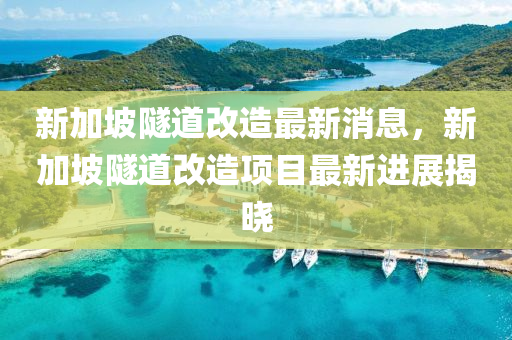 新加坡隧道改造最新消息，新加坡隧道改造項目最新進展揭曉