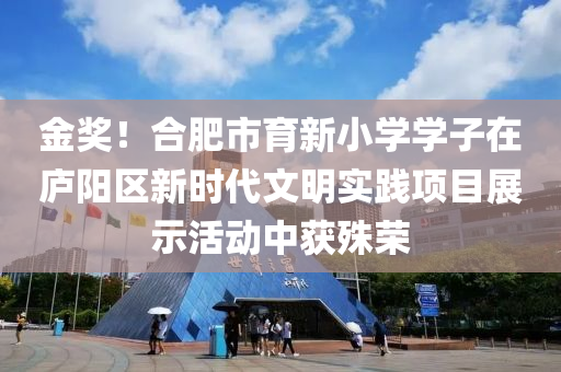 金獎！合肥市育新小學學子在廬陽區(qū)新時代文明實踐項目展示活動中獲殊榮