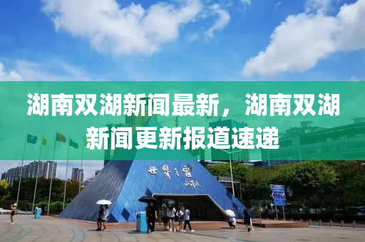 湖南雙湖新聞最新，湖南雙湖新聞更新報(bào)道速遞