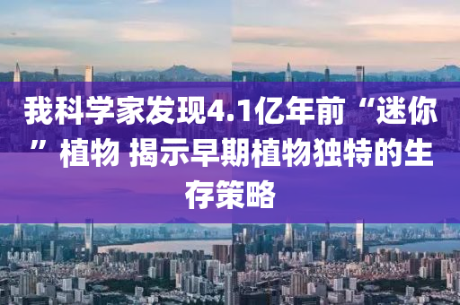 2025年2月20日 第50頁