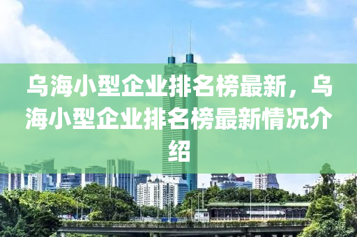 烏海小型企業(yè)排名榜最新，烏海小型企業(yè)排名榜最新情況介紹