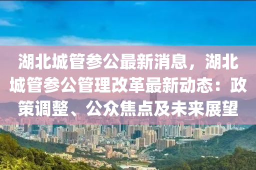 湖北城管參公最新消息，湖北城管參公管理改革最新動(dòng)態(tài)：政策調(diào)整、公眾焦點(diǎn)及未來(lái)展望