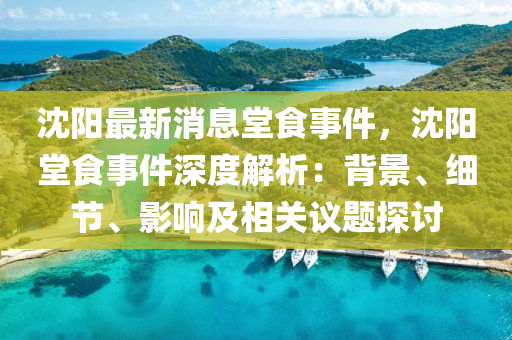 沈陽最新消息堂食事件，沈陽堂食事件深度解析：背景、細節(jié)、影響及相關議題探討