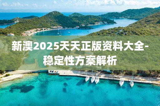 新澳2025天天正版資料大全-穩(wěn)定性方案解析