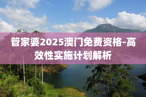 管家婆2025澳門免費(fèi)資格-高效性實(shí)施計(jì)劃解析