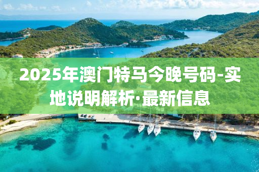 2025年澳門特馬今晚號碼-實地說明解析·最新信息