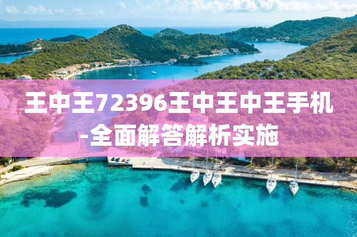 王中王72396王中王中王手機-全面解答解析實施