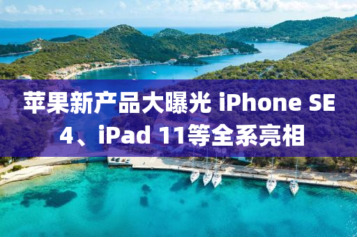 蘋果新產(chǎn)品大曝光 iPhone SE 4、iPad 11等全系亮相