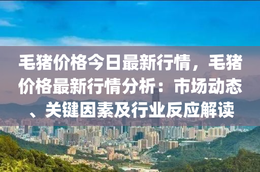 毛豬價格今日最新行情，毛豬價格最新行情分析：市場動態(tài)、關鍵因素及行業(yè)反應解讀