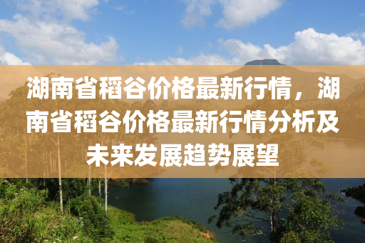 湖南省稻谷價(jià)格最新行情，湖南省稻谷價(jià)格最新行情分析及未來發(fā)展趨勢(shì)展望