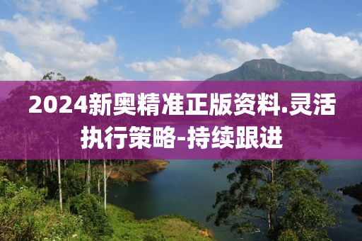 2024新奧精準(zhǔn)正版資料.靈活執(zhí)行策略-持續(xù)跟進(jìn)