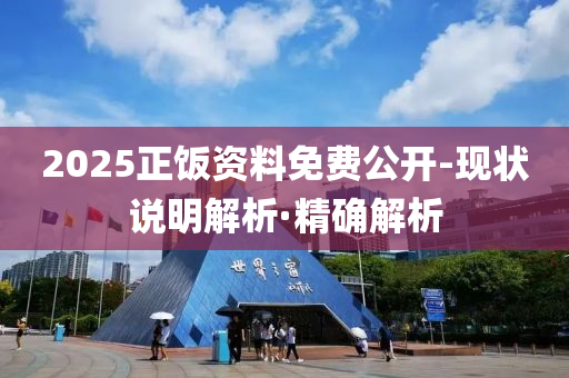 2025正飯資料免費(fèi)公開(kāi)-現(xiàn)狀說(shuō)明解析·精確解析