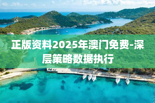 正版資料2025年澳門免費-深層策略數(shù)據(jù)執(zhí)行