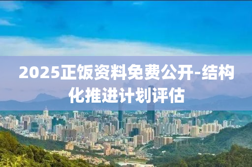 2025正飯資料免費公開-結構化推進計劃評估