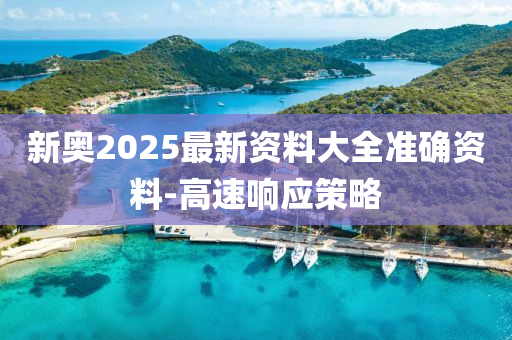 新奧2025最新資料大全準確資料-高速響應(yīng)策略