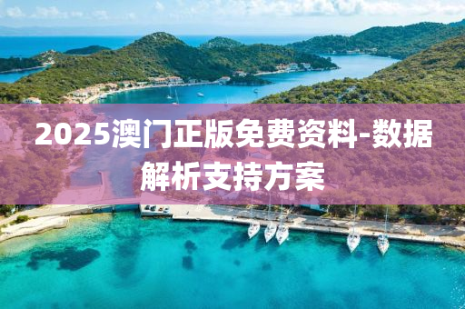 2025澳門正版免費(fèi)資料-數(shù)據(jù)解析支持方案