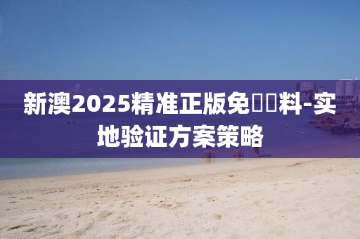 新澳2025精準(zhǔn)正版免費(fèi)資料-實(shí)地驗(yàn)證方案策略