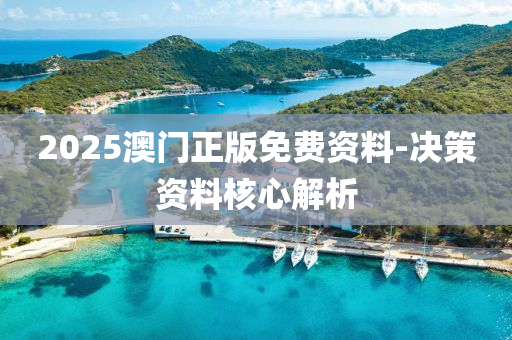 2025澳門(mén)正版免費(fèi)資料-決策資料核心解析