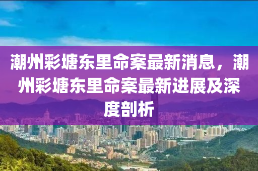 潮州彩塘東里命案最新消息，潮州彩塘東里命案最新進(jìn)展及深度剖析