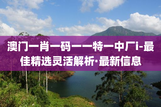 澳門一肖一碼一一特一中廠i-最佳精選靈活解析·最新信息