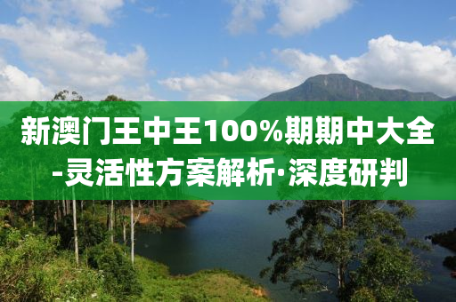 新澳門王中王100%期期中大全-靈活性方案解析·深度研判