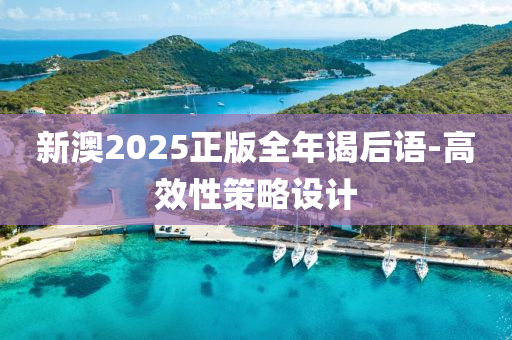 新澳2025正版全年謁后語-高效性策略設計