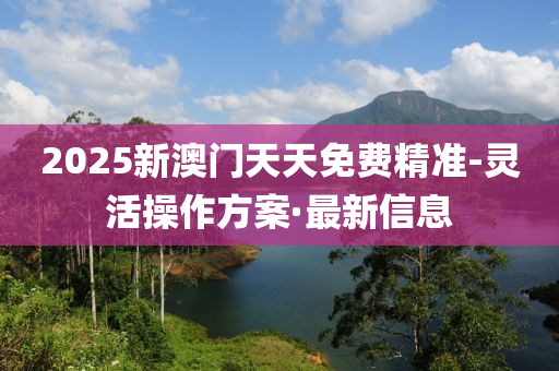 2025新澳門天天免費精準-靈活操作方案·最新信息