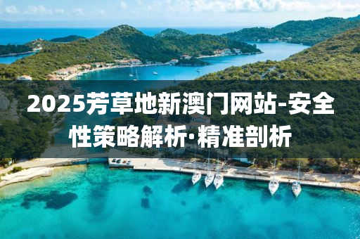 2025芳草地新澳門網(wǎng)站-安全性策略解析·精準(zhǔn)剖析