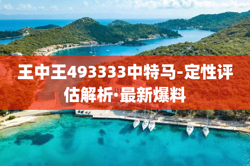 王中王493333中特馬-定性評估解析·最新爆料