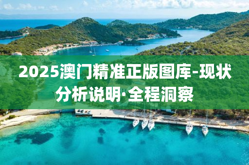 2025澳門精準正版圖庫-現(xiàn)狀分析說明·全程洞察