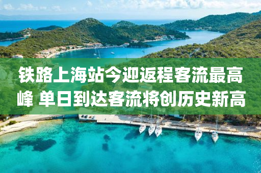 鐵路上海站今迎返程客流最高峰 單日到達客流將創(chuàng)歷史新高